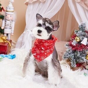 Christmas Snowflake Pet Bandana